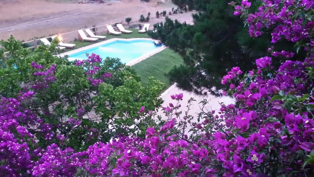 Elli Beach Apartments And Studios Almiros Beach Quarto foto